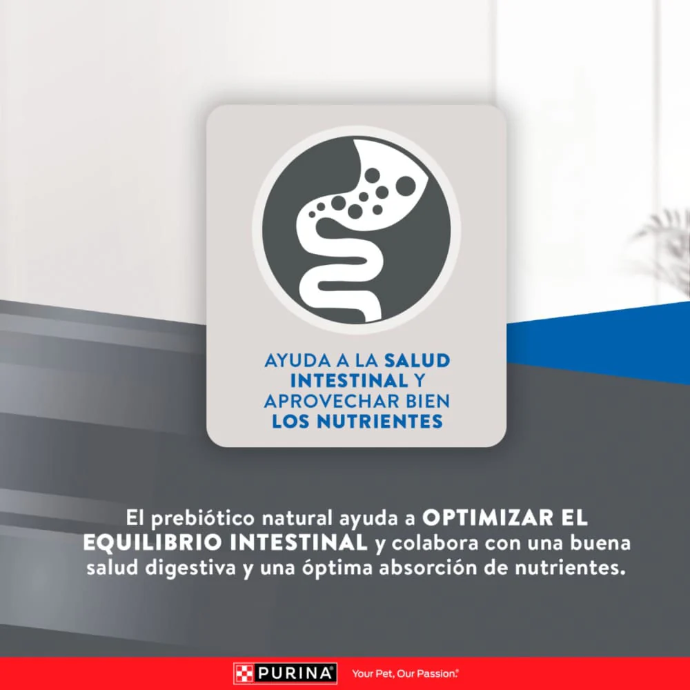 Miniatura 10