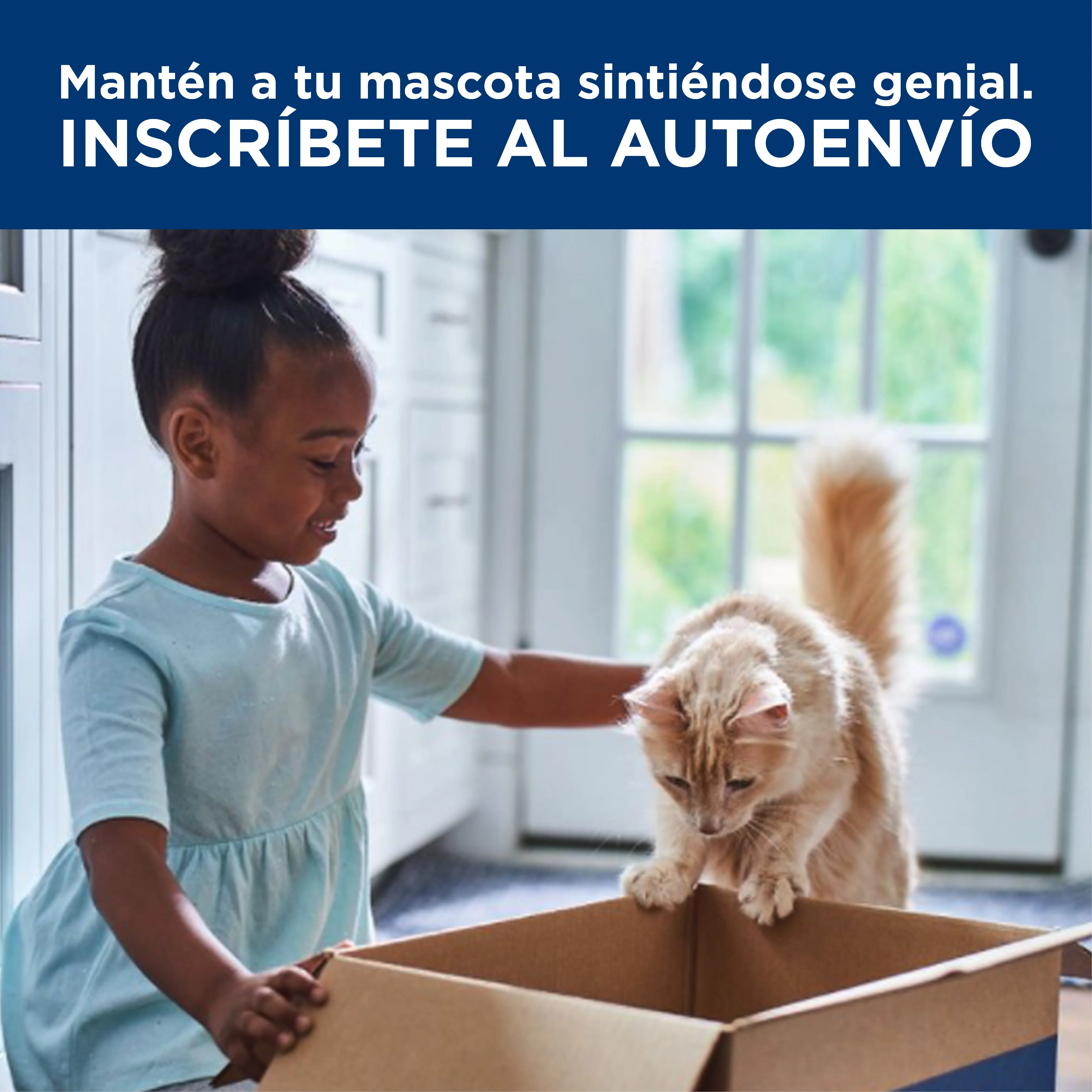 Miniatura 14