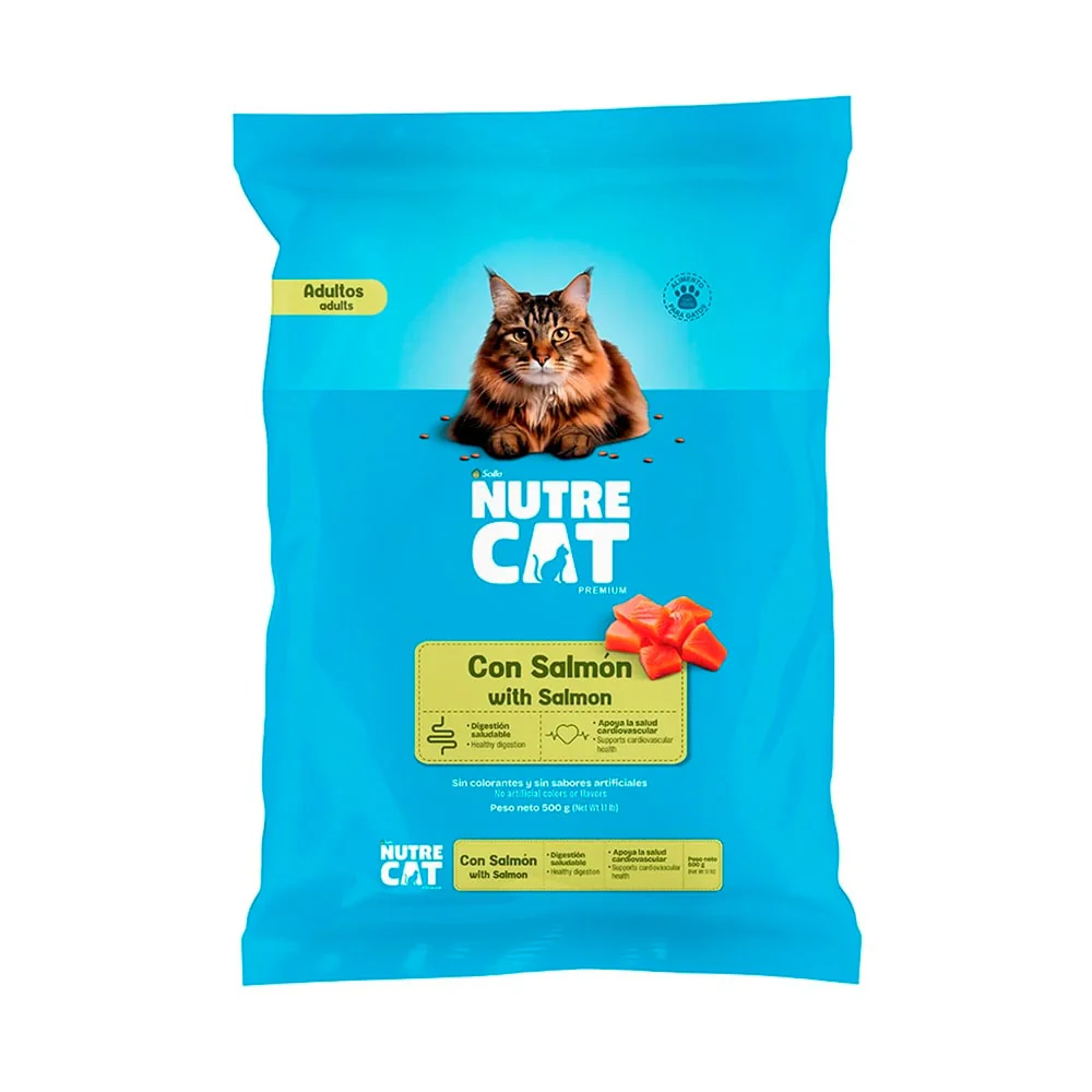 Gatos